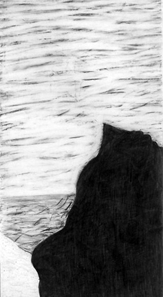 Beach Protector<br>
graphite on mylar<br>
15 x 8<br>
2006