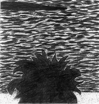 Shore Bush<br>
graphite on mylar<br>
10 x 10<br>
2006
